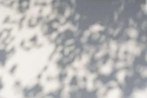 Shadow overlay effect for photo. Shadows from tree leaves and tropical branches Foto stock