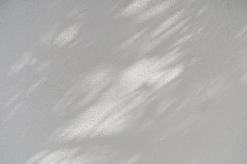 Shadow overlay effect for photo. Shadows from tree leaves and tropical branches Stock Photos