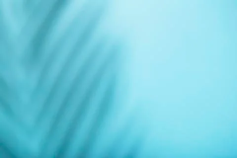 Shadow overlay effect. Shadows of tropical palms and leaves on a blue wall in Foto stock