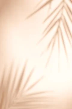 Shadow overlay effect. Shadows of tropical palms and leaves on a beige wall in Stock Photos