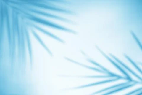 Shadow overlay effect. Shadows of tropical palms and leaves on a blue wall in Stock-Fotos