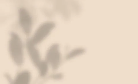 Shadow overlay effect, Soft light and shadows from leaf and branches,  shadow Stock Photos