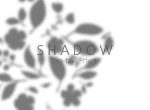 Shadow overlay effect. Transparent soft light and shadows from plant branches Stock Illustration