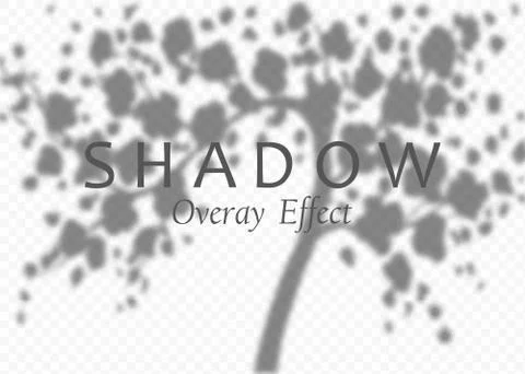 Shadow overlay effect. Transparent soft light and shadows from plant branches Stock Illustration