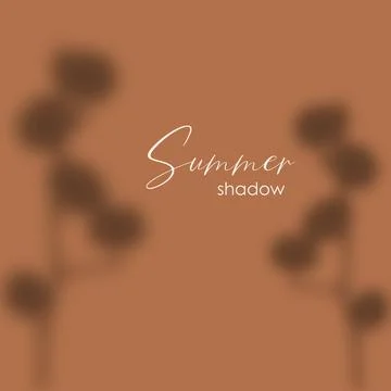 Shadow overlay effect. Transparent soft light and shadows from plant branches Stock Illustration
