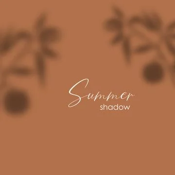 Shadow overlay effect. Transparent soft light and shadows from plant branches Stock Illustration