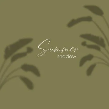 Shadow overlay effect. Transparent soft light and shadows from plant branches Stock Illustration