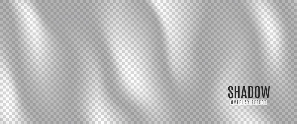 Shadow overlay effect. Transparent soft light wave and shadows from leaves Stock Illustration