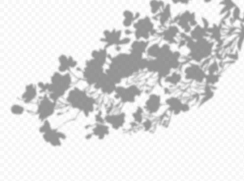 Shadow overlay effect. Transparent soft light and shadows from plant branches Stock Illustration
