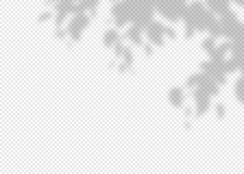 Shadow overlay effect of tree branches and leaves Stock Illustration