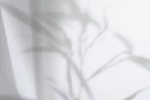 Shadow overlay effect on white. Stock Photos