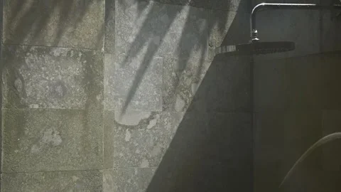 Shadow overlay of palm tree leaves on the grey stone wall at daytime in an .. Stock Footage 317602633