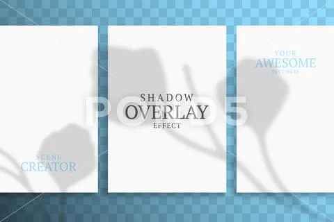 Shadow Overlay Plant Vector Mockup A4 Paper sheets. Shadows overlay ...