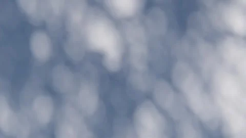 Shadow overlay wall texture sunlight leaf shade abstract 3d render. Stock Footage 309612342