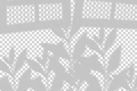 Shadow overlay of window blinds and plant leaves on white background Stockillustratie