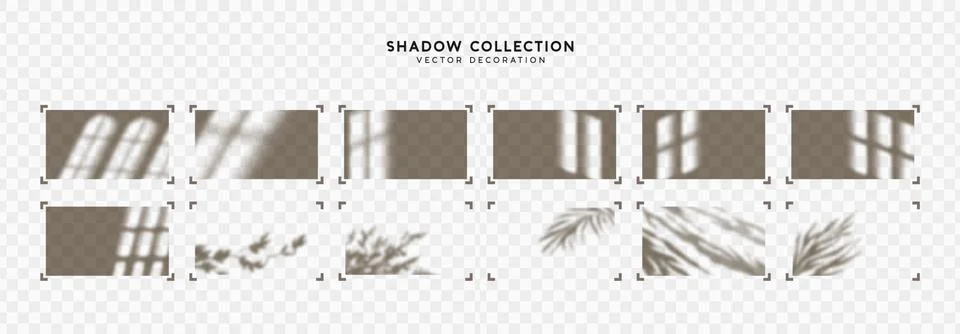 Shadow overlay Window frames and leaves. Effect light transparent shadow. Rea イラスト素材