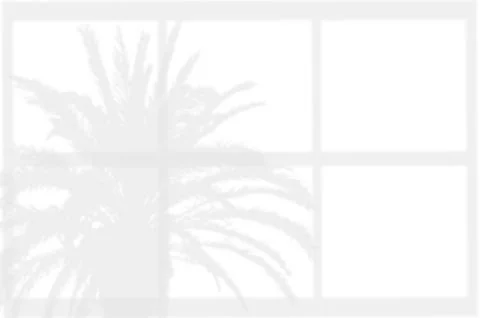 Shadow overlaying of palm tree leaves and window on wall, summer abstract s.. Stock Illustration