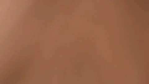Shadow from a palm branch on a brown background. Stock Footage 237241221