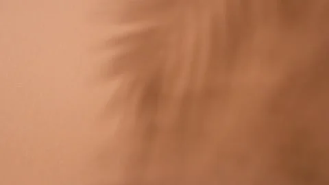Shadow from a palm branch on a brown background. Stock-Footage 237241263
