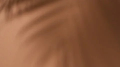 Shadow from a palm branch on a brown background. Video stock 237241294