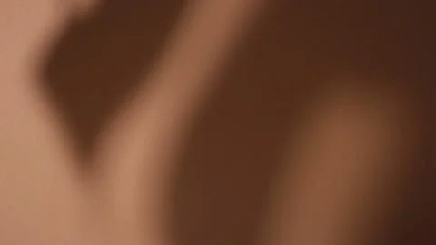 Shadow from a palm branch on a brown background Stock Footage 237241331