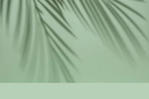 Shadow from a palm branch on a green mint background to show the product and Stock Illustration
