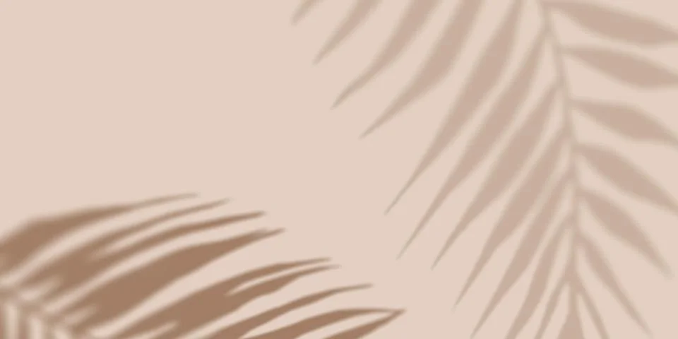 Shadow Palm Flatlay Background. Creative neutral copyspace. Nature style Stock Illustration