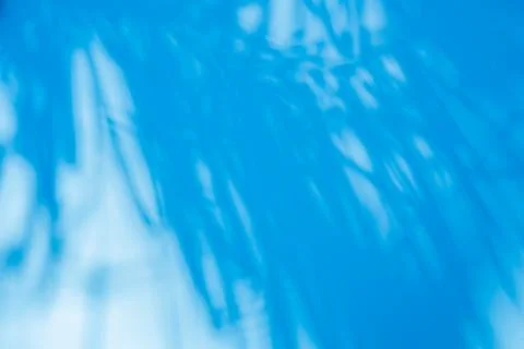 Shadow of palm leaf on blue background with copy space. Summer holidays trave Foto stock