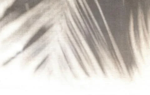 Shadow of palm leaf on a grunge texture background Stock Photos