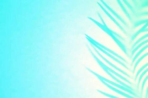 Shadow of palm leaf in mint green backlight. Gentle Abstract backdrop Shad... Stock Photos