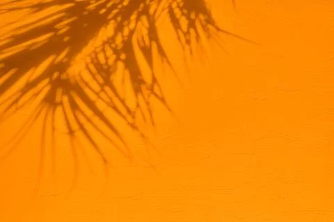 Shadow of palm leaf on orange concrete wall texture background Stock Photos