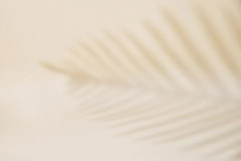 Shadow of palm leaf on pastel background Stock Photos