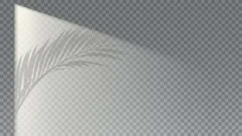 Shadow of palm leaf on studio wall. Illustrazione stock