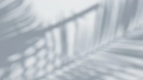Shadow palm leaf in the wind blowing overlay on white Stock Footage 162942049