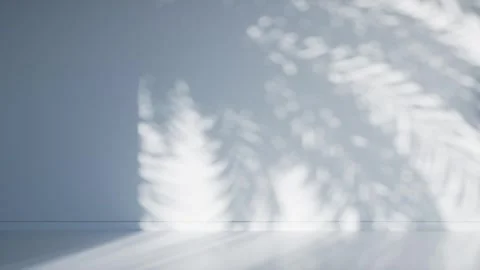 Shadow of palm leaves on an empty light blue room wall Stock Footage 264581999