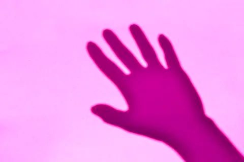 The shadow of the palm on a pink background Stock Photos