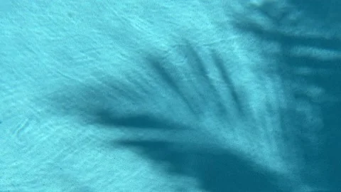 The shadow of the palm tree leaves reflected on the water of the swimming pool. Video stock 164010179