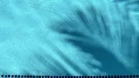 The shadow of the palm tree leaves reflected on the water of the swimming pool. 스톡 동영상 164253746