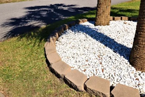 The shadow of the palm tree 스톡 사진