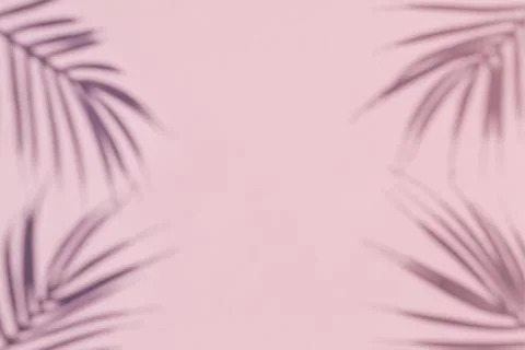 The shadow of a palm tree on a pink background. Minimal modern concept. 스톡 사진