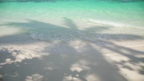 The shadow of a palm tree on the sand Stock Footage 146706532