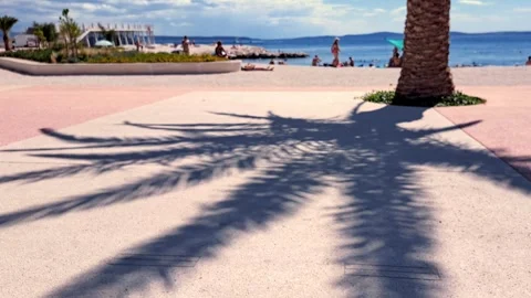 The shadow of a palm tree sways on a promenade Stock Footage 316895317