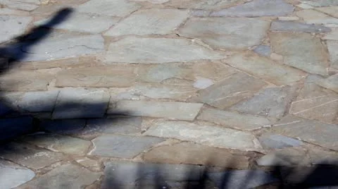 Shadow from a palm tree on a tile Stock Footage 11711397