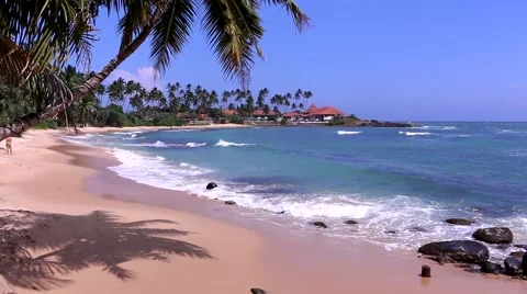 The shadow of palm trees on a sunny beach in Sri Lanka Stock Footage 62061761