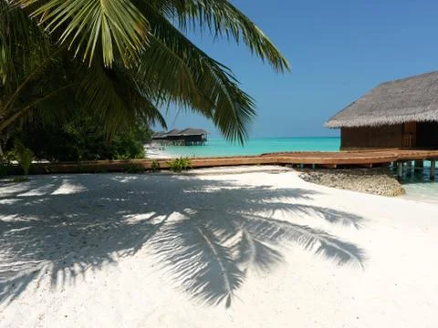 The shadow of palm trees on white sand near the hut Stock Photos