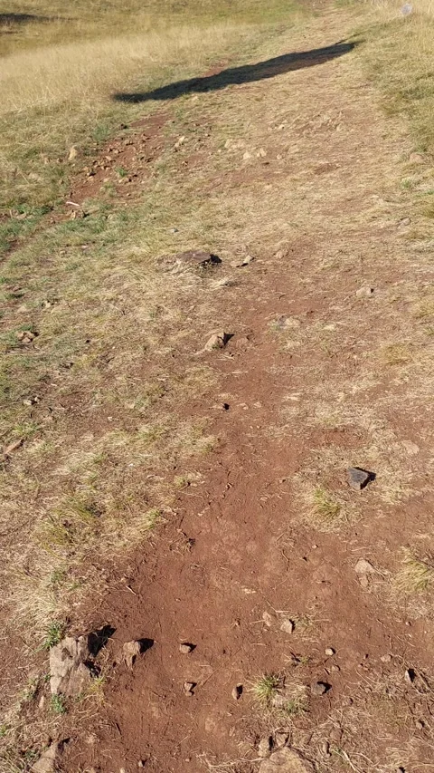 Shadow Pass Short Video Video stock 250026749