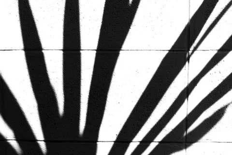 Shadow pattern jagged edge form Stock Photos