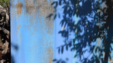 Shadow pattern of walnut tree on rusty blue painted background with copy space Foto stock