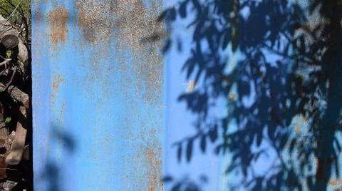 Shadow pattern of walnut tree on rusty blue painted background with copy space Stock Photos