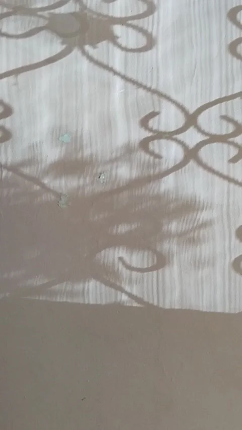 Shadow from patterned metal grille on light beige brown old wall. Mental health Stock Footage 309880681